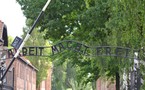 Day off #2: Auschwitz - Birkenau...