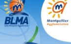 Le point sur le BLMA 2013-2014
