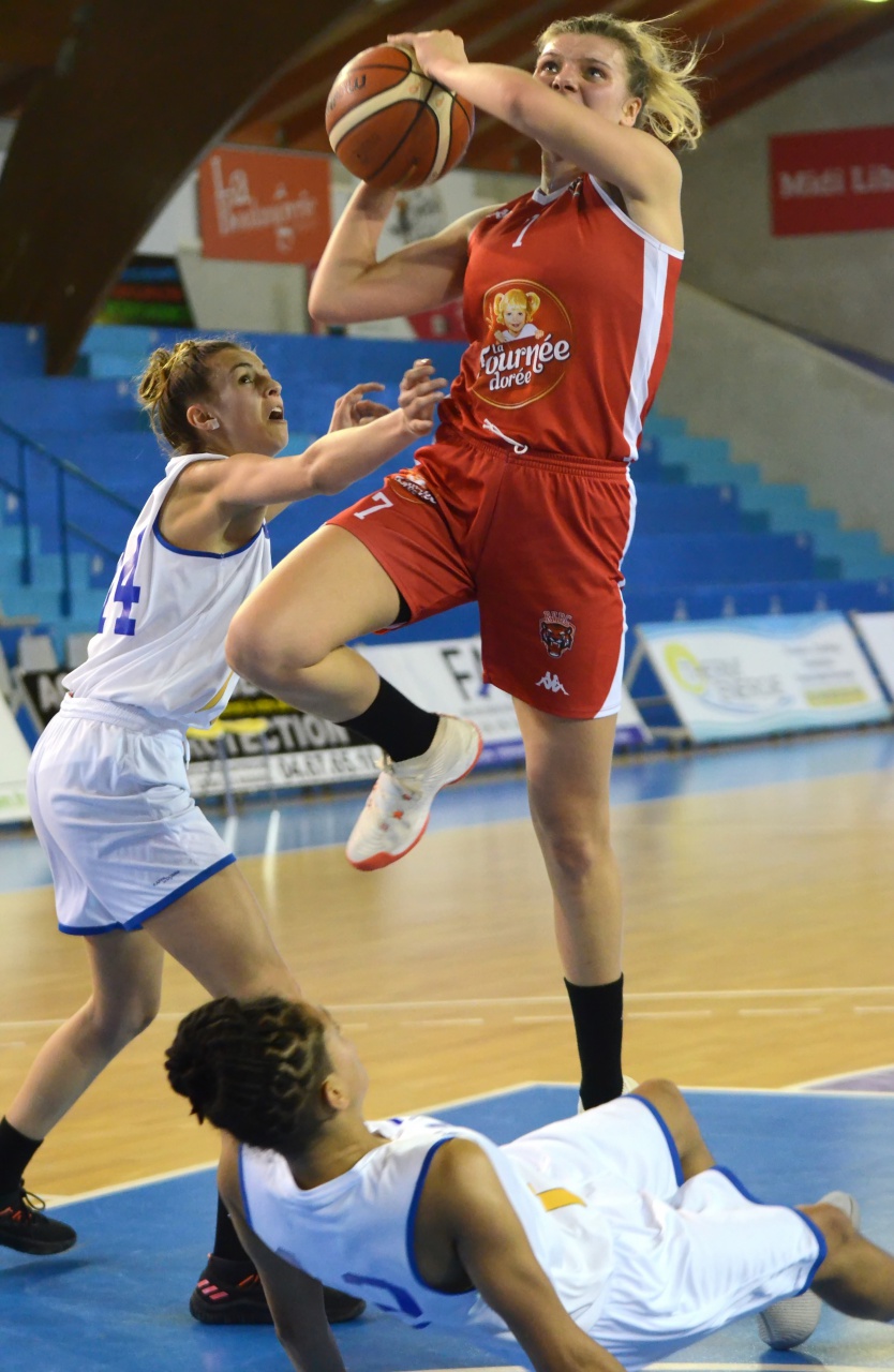 0_Farkasova_En_Force_F