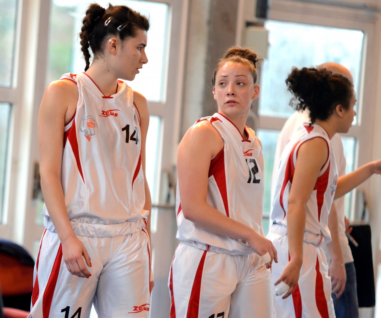 TRO_HAI_Teiss_Serotini_F