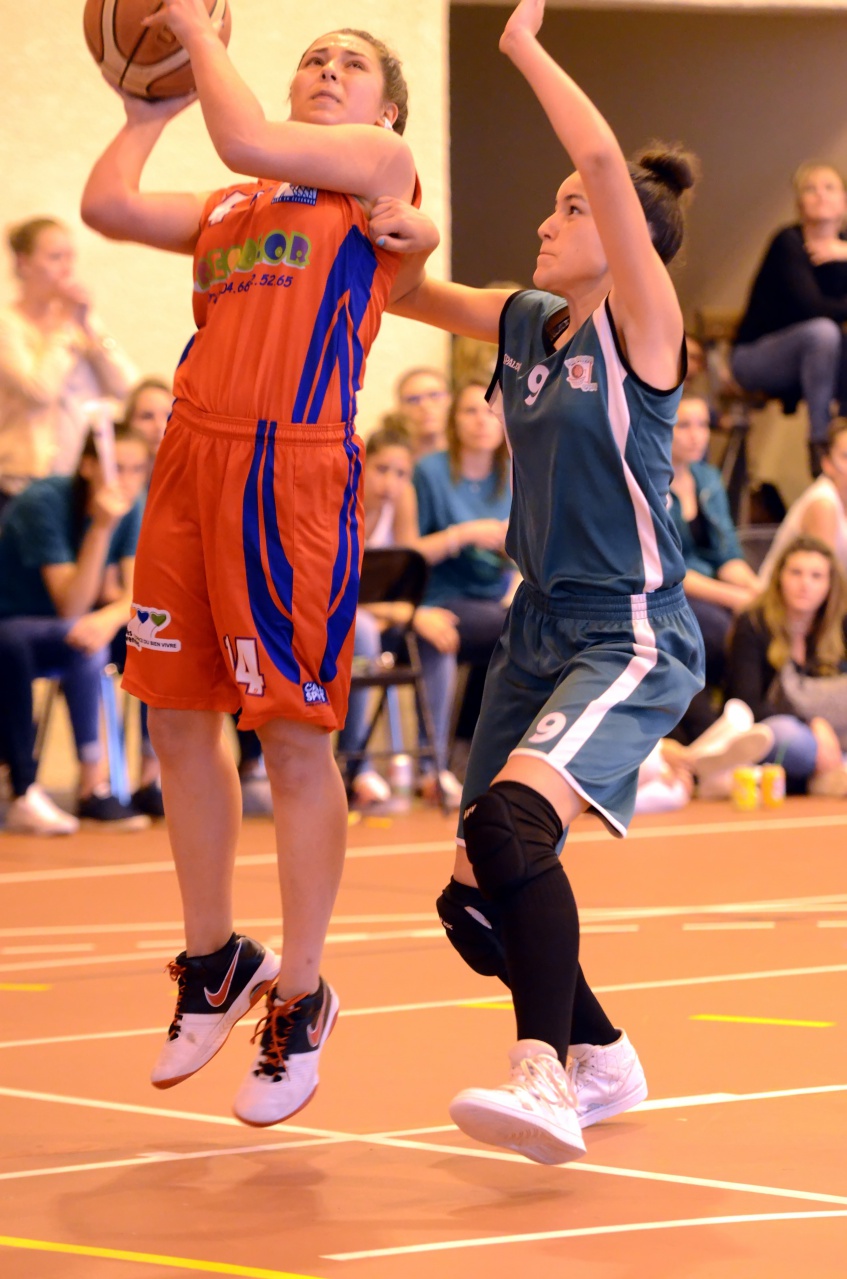 2_Di_Domezio_Défense_F